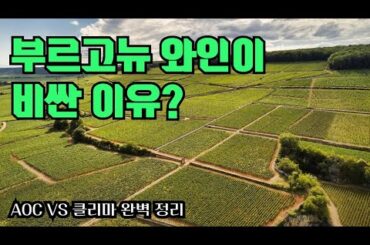 부르고뉴 와인이 비싼 이유? (AOC vs 클리마 완벽 정리)