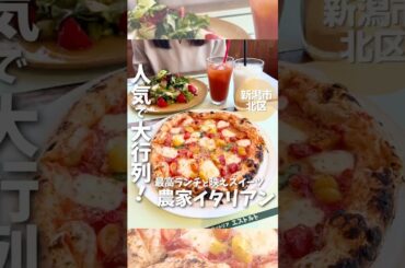 【新潟グルメ】人気すぎてめっちゃ並ぶ！農家レストラン「エストルト」の最高ランチと映える苺スイーツ #エストルト #新潟グルメ #新潟ランチ #新潟スイーツ #農家レストラン #農場 #shorts