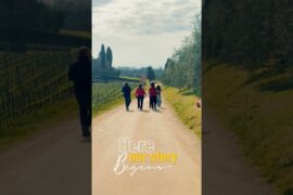 What a real Wine Tour in Tuscany looks like 🍷 | Siena, Italy