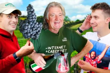 JOLLY! The best wine in Italy