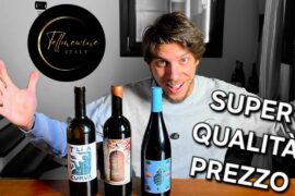 TRE VINI CON QUALITÀ/PREZZO TOP 🔥🍷👀