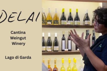 Italienisches Lebensgefühl: Wein-Tour & Degustation bei "DELAI" am Gardasee.