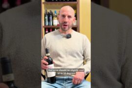 Stop Drinking Red Wine at Room Temp! 🍷