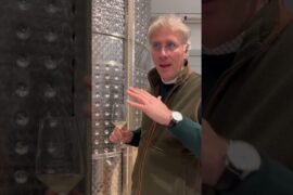 #Montauto #whywine #wine #italy #winelover