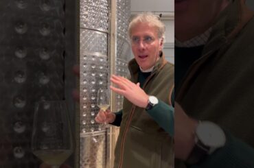 #Montauto #whywine #wine #italy #winelover