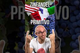 Zinfandel and Primitivo: Same Grape, Different Name (WSET Level 2)
