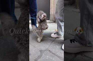 A day in Siena 🇮🇹 #italy #dayinmylife