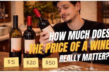 How much does the price of a wine really matter?