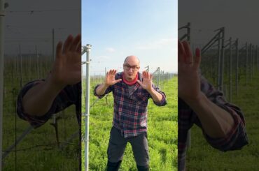 #Lucaleggero #whywine #wine #italy #winelover