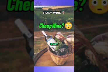 This Wine Experience in Italy is CHEAPER Than You Think 😳🍷 #travel #italy #shorts