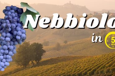 Understand NEBBIOLO in 5 minutes