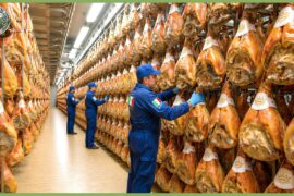 Unbelievable Italian Farming Scale – How Millions of Tons of Pasta, Cheese & Salami Are Made