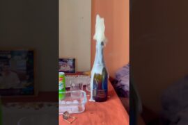 Wine Bottle open fails 😂😂😂 2million views instagram video 🍷🍾