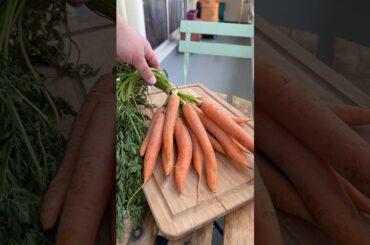 J’ai fait du Ketchup Maison aux Carottes 🥕