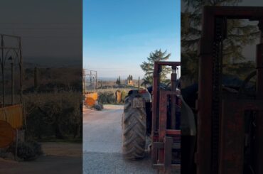 Wine Tour in Tuscany 🍷 | From vineyards to the cellar (Siena)