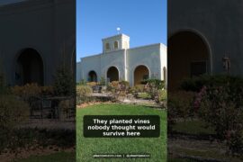 Wisconsin's Hidden Italian Secret #Shorts