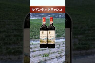 問題です！イタリアの有名ワイン産地3選を当てろ！？【ソムリエ・ワインエキスパート試験対策】