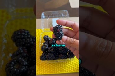 Which Country Has The Healthiest Diet In The World 🍕😋#shorts #food #diet