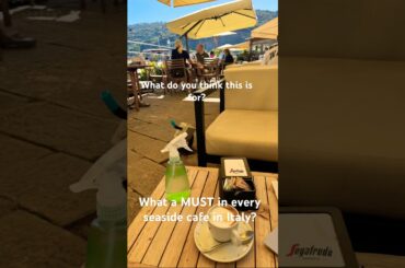 #Italy #ItalianLife #TravelItaly #SeasideVibes #CafeLife #FunnyMoments #Pigeons #TravelHumor #Shorts