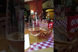 Enjoying wine at a Piedmont cuisine restaurant in Turin