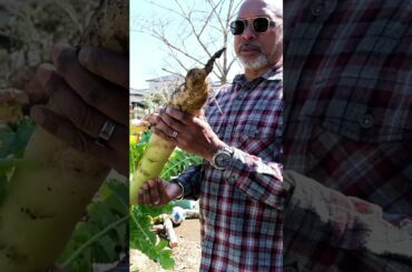 Behind every dish, a journey of thousands of miles.