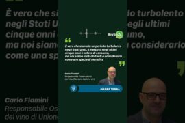 Madre terra da Vinitaly 2026, ai microfoni di Rosanna Magnano interviene Carlo Flamini