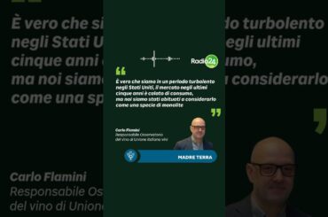 Madre terra da Vinitaly 2026, ai microfoni di Rosanna Magnano interviene Carlo Flamini