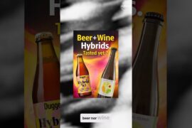 What are beer and wine hybrids ?