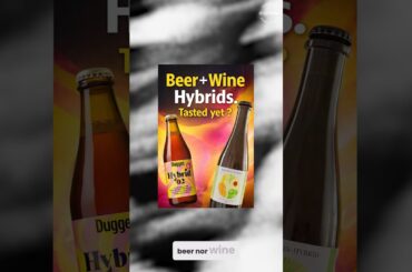What are beer and wine hybrids ?