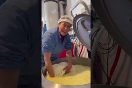 Pecorino e ricotta wild 🔥 #food #cucinafacile #reels #shortsyoutube #assaggiamo #cooking #ricette