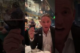 The Truth About Drinking Wine! 🍷