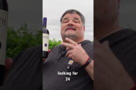 Long Story Short : Tenuta Sette Ponti 2021 Sette (Italy)