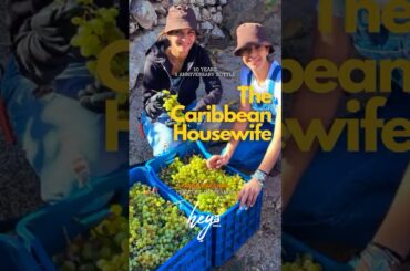 The Caribbean Housewife x Heya Wines - Limited Edition Cuvée