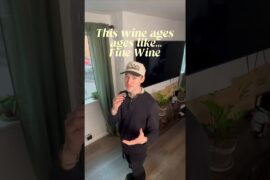 Nebbiolo 101! #wine #sommelier #nebbiolo #italy