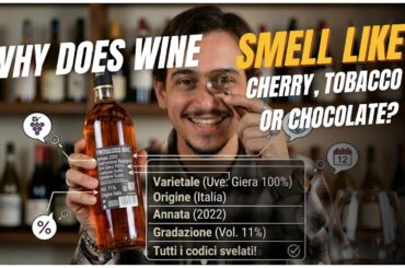 Why does wine smell like cherry, tobacco, or chocolate?