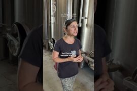 The Hill Where Italy’s First DOC Wine Was Born — San Gimignano