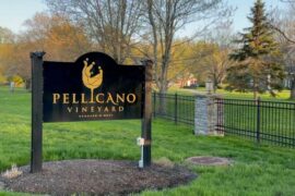 Weather to wine: How weather plays a role in making wine in WNY