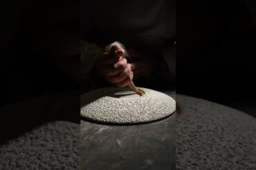 At 1-Star Restaurant Sapio in Italy - can you guess the ingredient #Italy #finedinning #Plating