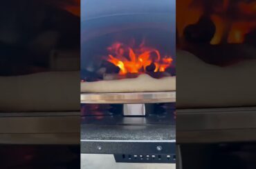 Gas + wood, incredible flavor 🔥 Bertello SimulFIRE 16" Pizza Oven #shorts #pizza #grill