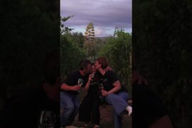 #whywine #ninatrinca #wine #italy #winelover