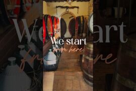 Wine Aging Cellar in Tuscany 🍷 | Where Time Shapes the Wine (Siena)