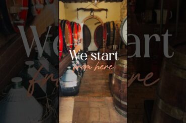Wine Aging Cellar in Tuscany 🍷 | Where Time Shapes the Wine (Siena)