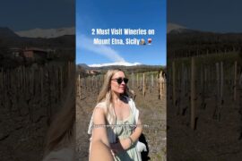 WINE TASTING ON MOUNT ETNA, SICILY🌋🍷 #italytour #sicily #winetravel