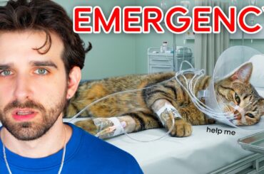 My Kitten Had Emergency Surgery... (sad)