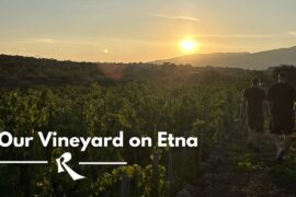 Our Vineyard in Contrada Sciaranuova, Etna