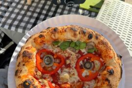 Le Feu Turtle / Motion