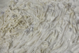 Chicken Alfredo for the kids