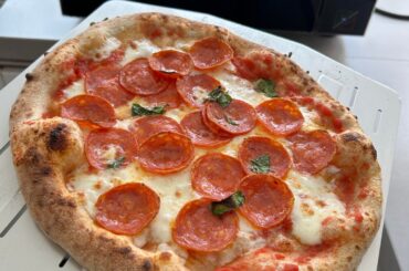 Moved from outdoor pellets to indoor electric, first run