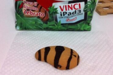 The mystery of the 'Gocciola Zebrata', the 'rarest prize in the world': here's what you win