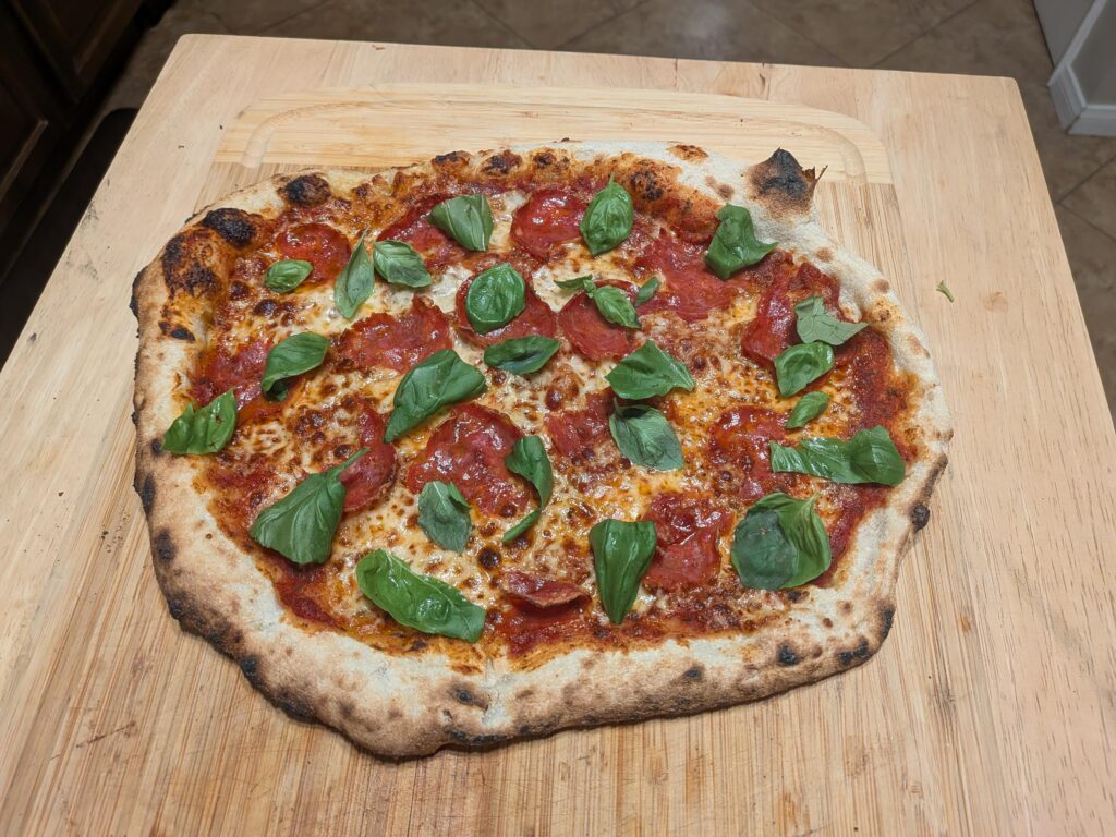 HELP! Need advice on using food processor for dough